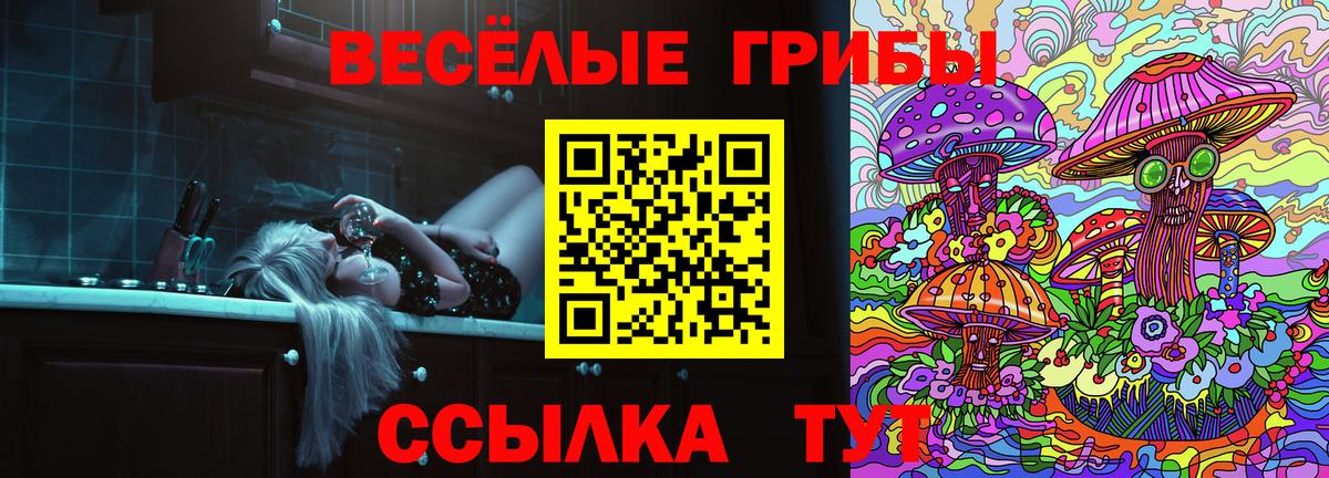 Псилоцибиновые грибы MAGIC MUSHROOMS  Вход с VPN  Протвино 